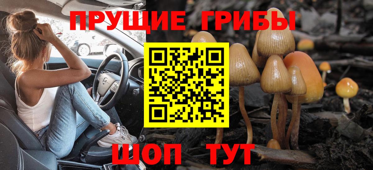 Меф Кострома